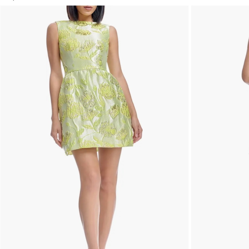 Dress the Population Floral Mini Dress - Light Green